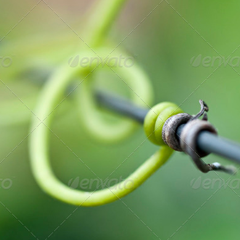 短信验证码轰炸网址免费